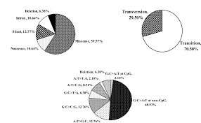 There are many different types of breast cancer. Tp53 Genetic Alterations In Arab Breast Cancer Patients Novel Mutations Pattern And Distribution
