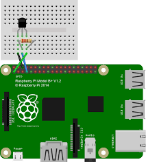 Connected the ds18b20 to my raspberrypi (using a breadboard): Diy Raspberry Pi Thermometer