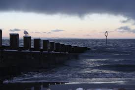 Find opening hours and directions, compare prices before booking, see photos, and read reviews. Portobello Beach In The Winter