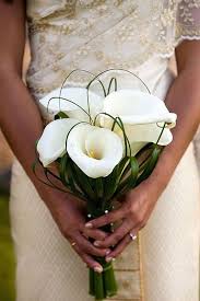 There are plenty of blooms that are either only in season during the winter or continue to bloom all year long (hello, roses!) that are perfect to include in bouquets, boutonnieres, ceremony arrangements, reception centerpieces, and more. Your In Season Guide To Beautiful Winter Wedding Flowers With Images Queensland Brides