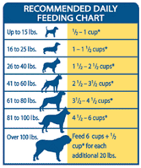 53 ageless dog feeding guide