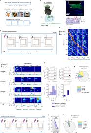 The systems thinker the thinking in systems thinking how can we make it easier to master the systems thinker fire and boom. Hippocampal Neurons Represent Events As Transferable Units Of Experience Nature Neuroscience
