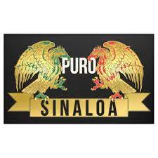 Puro Sinaloa Banner Zazzle Com Mexican Flag Colors Mexican Flag Eagle Mexican Eagle