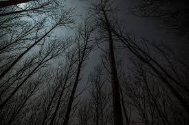 How To Stop Nightmares And Night Terrors