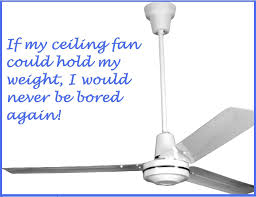 Humor Funny Ceiling Fan Humor Funny Pictures Funny Quotes