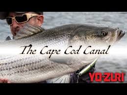 Videos Matching Striper Fishing Cape Cod Canal 2019 Revolvy