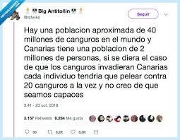 A partir de ahí, lo absurdo y cómico del hipotético enfrentamiento convirtió el asunto en viral y se desataron las teorías y los memes, que ahora la tuitera jéssica vázquez ha resumido en un. Vef Visto En Las Redes Busqueda De Canguros En Vistoenlasredes Com