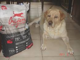7 Questions To Ask At Compare Dog Food Ingredients Side By