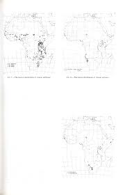 Image result for Acacia rovumae