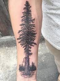 Whether you get a palm tree forearm tattoo or a palm tree tattoo on wrist, these tattoos look mesmerizing! 25 Intricate Tree Tattoos For Men In 2021 The Trend Spotter