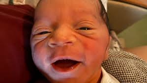 Madison Shean's Instagram, Twitter & Facebook