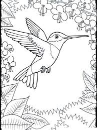 Printable Hummingbirds Coloring Pages Free Coloring Sheets Bird Coloring Pages Hummingbird Colors Printable Coloring Pages