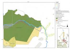 Image result for Tricalysia bagshawei