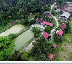 Semasa tidur di malam di chalet kami, kami masih dapat mendengar suara sungai.kami berasa sangat tenang dengan lokasi penginapan di laman jentayu resort ialah pilihan yang baik apabila anda melawat hulu langat. Homestay Nurfarm Hulu Langat Selangor Accommodation Homestays For Rent In Hulu Langat Selangor Mudah My