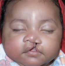 Kade Hebert (@KadeHebert)