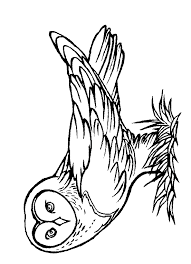 Some of the coloring page names are harry potter send a letter using hedwig coloring netart, harry potter and her owl hedwig coloring netart, harry potter receipt package from hedwig coloring netart, harry potter owl coloring collection coloring for kids 2019, harry potter coloring coloring to, top 20 harry potter. Harry Potter Owl Coloring Pages Free Image Download