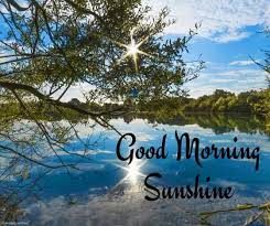 Check spelling or type a new query. Lovely Good Morning Sunshine Images Best Collection