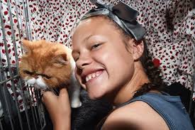 Raining cats and dogs