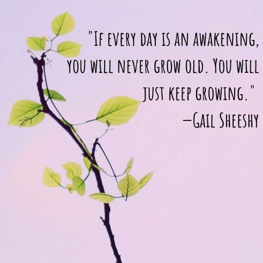 Quotations and Sayings About Good Vibes and Positivity