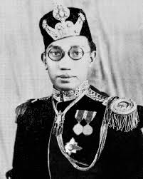 File:Portrait of Sultan Ahmad Tajuddin Akhazul Khairi Waddien.jpg