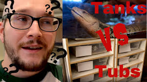 Any tips for making a snake rack?