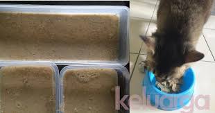 Sesuai utk semua baka dan peringkat umur kucing. Kos Murah Dan Paling Senang Nak Buat Rupanya Begini Cara Sediakan Makanan Basah Kucing Wetfood Buat Si Bulus Keluarga