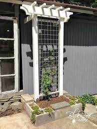 Apr 25, 2020 · an arbor is an easy way to personalize a wedding. Easy Garden Trellis Diy Garden Trellis Garden Trellis Easy Garden
