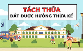 Điều cần biết khi chuẩn bị giấy tờ thừa kế đất đai năm 2024