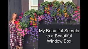 I have had dead flowers by june every. My Beautiful Secrets To A Beautiful Window Box Container Gardening Youtube