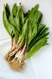 The right appliances make small kitchens more comfortable. Ramps Recipe Sweet And Sour Ramps Or Pearl Onions Hank Shaw