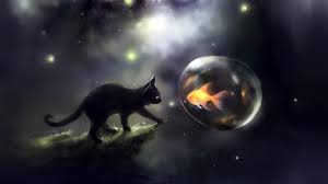 Reliable value · timeless, classic style · well made, well loved 100 Hd Cute Cat Wallpapers For Desktop 4k 2020 Page 3 Of 9 We 7
