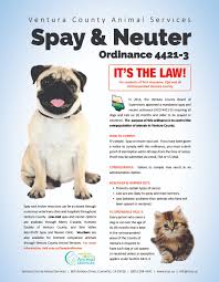 Some animal hospitals may accept pet insurance. Spay And Neuter Ventura County Animal Services