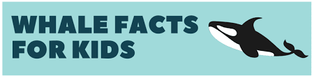 Today, more than 30,000 species are threatened with extinction. Whale Facts For Kids 9 Interesting Facts Moonlight Publishing
