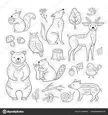 Descargar Doodle De Animales Del Bosque Bosque Lindo Bebe Animales Ardilla Lobo Buho Oso Ciervos Caracol Para Cute Baby Animals Baby Animals Animal Doodles