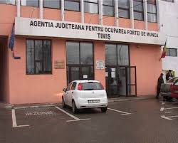 Agenţiile pentru ocuparea forţei de muncă prestează servicii gratuite de orientare profesională şi susţinere psihologică în problemele ce ţin de carieră absolvenţilor instituţiilor de învăţămînt, tinerilor, şomerilor şi persoanelor aflate în căutarea unui loc de muncă. Agentia Judeteana Pentru Ocuparea Fortei De Munca Timis Institutie Plublica Din TimiÈ™oara