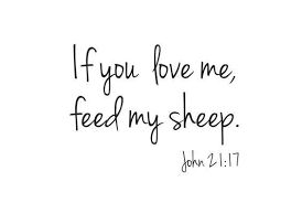 If You Love Me Feed My Sheep Faith Scripture Bible Quotes Bible Scriptures