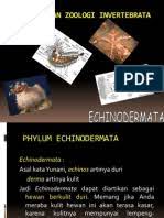 Manual read online read online pdf sanli bumble bee manual buku zoologi invertebrata pdf akkarmashi. Zoologi Invertebrata Pdf Siswapelajar Com