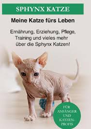 sphynx katze bucher orell fussli