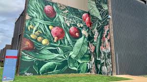 Tough decisions are plenty in the past 18 months and now it's our turn. Dubbo Hospital Murals Complete Youtube