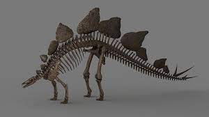 State Fossil Stegosaurus Dinosaurios Esculturas
