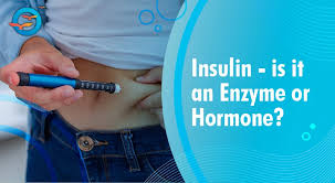 Image result for Insulin