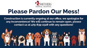 We provide the very best care for your pet, with less stress, at a time convenient for you. Please Pardon Our Mess Smithers Animal Hospital