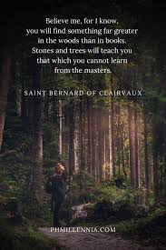 199 Wonderful And Inspiring Quotes On Woods And Forests Phmillennia Forest Quotes Into The Woods Quotes Nature Quotes