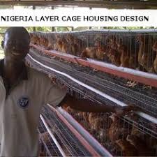 Modern house design ideas are considered pertaining to privacy corners. 14 Nigeria Poultry Housing Designs Ideas Poultry Poultry House Poultry Farm