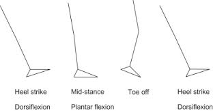 Gait Pattern An Overview Sciencedirect Topics