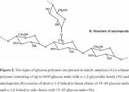 Scielo Brazil Application Of Microbial A Amylase In Industry A Review Application Of Microbial A Amylase In Industry A Review
