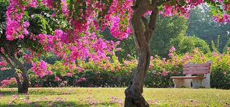 Maybe you would like to learn more about one of these? The 13 Most Beautiful Gardens In Chandigarh
