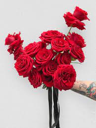 We did not find results for: Colour Therapy Flowers That Make You Happy Funny How Flowers Do That