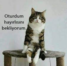 Hayirlisiylan Komik Komik Alintilar Komik Goruntuler