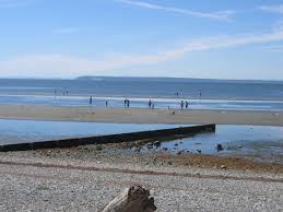 crescent beach surrey wikipedia